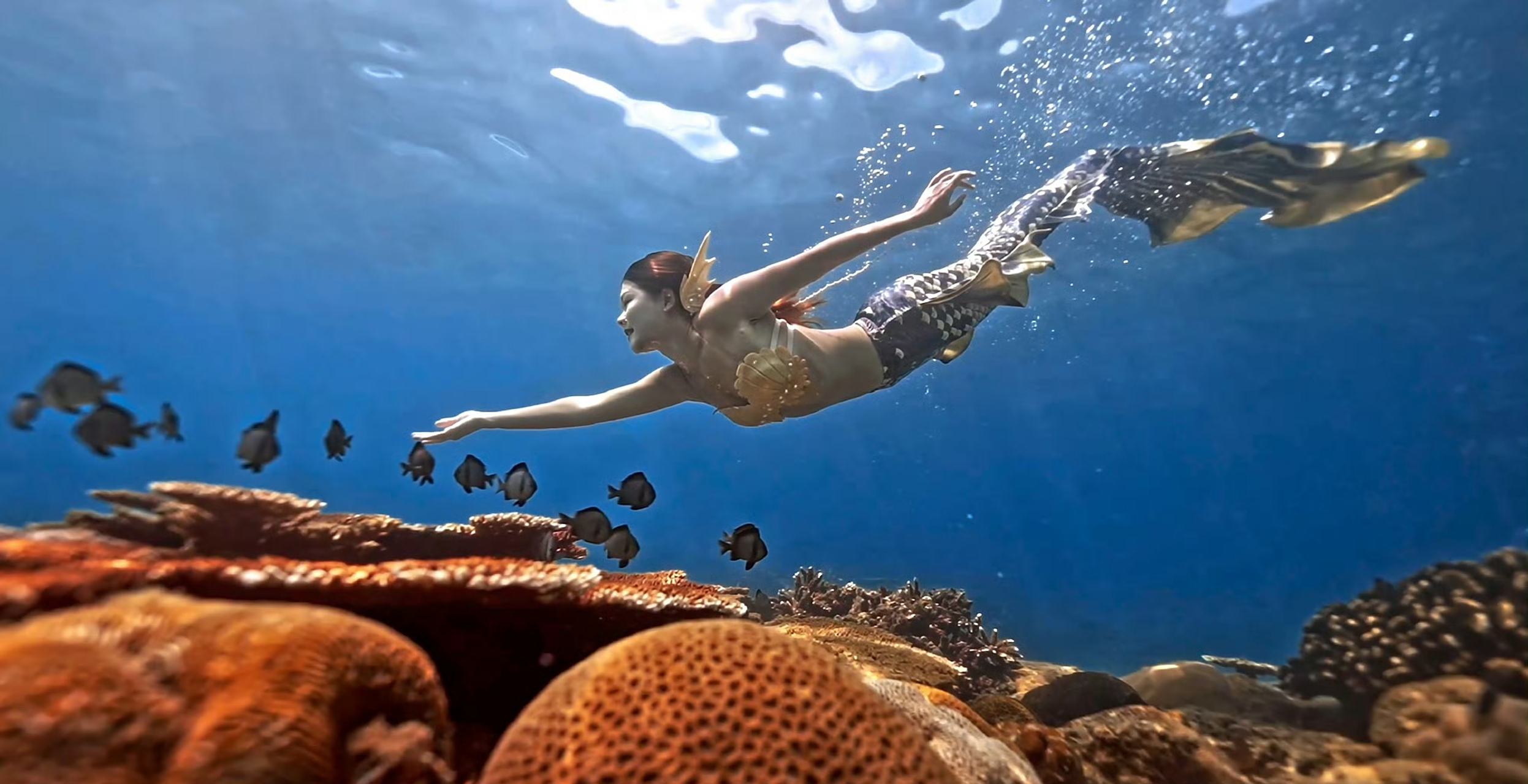 【潜水】美丽而神秘的美人鱼,畅游梦幻绚丽,唯美浪漫的海底世界.