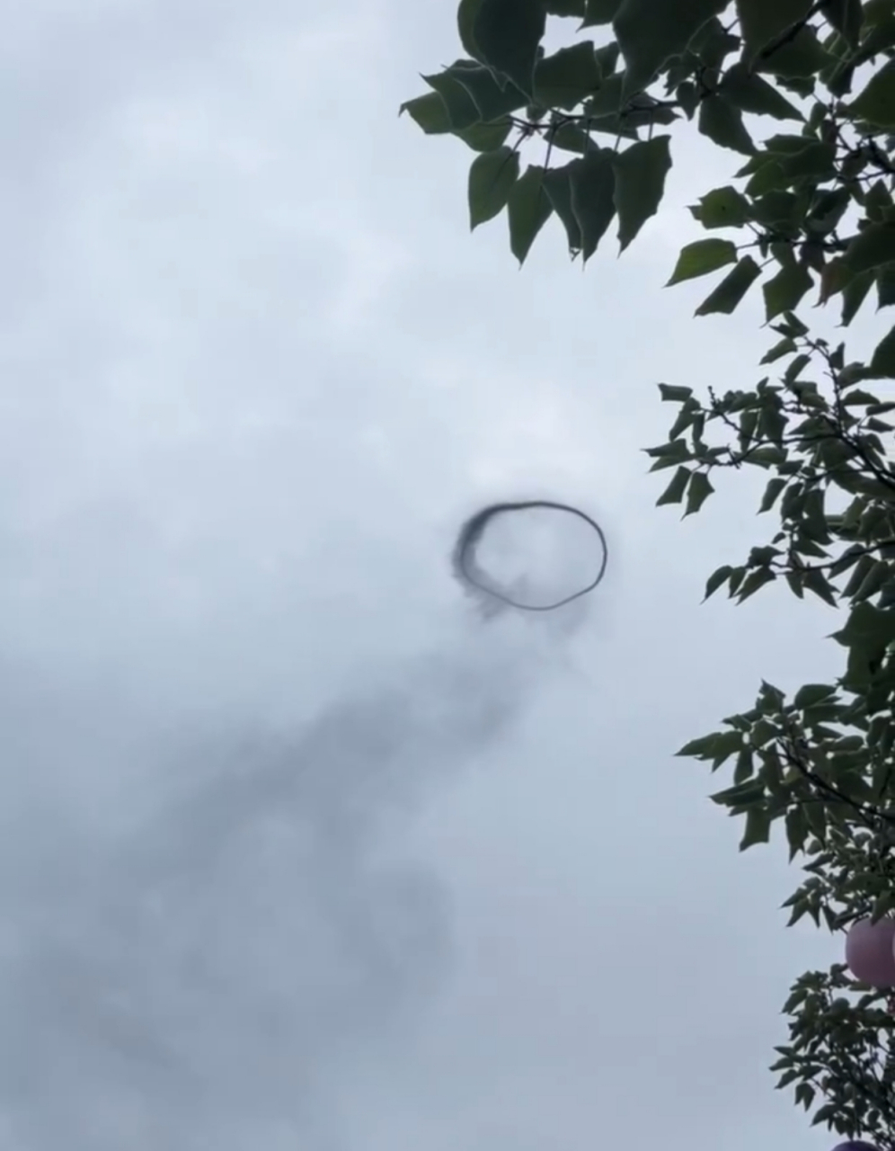 不是p图!天空中突然出现神秘黑圈,谁知道咋回事呀[疑问]