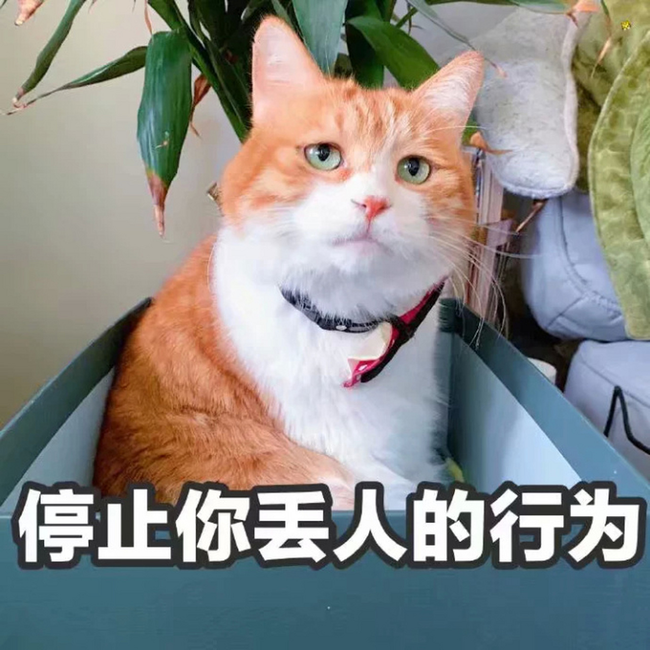 豪克是个远近闻名的吝啬鬼.这天,他找詹西为他画幅速写,可又不想付钱.