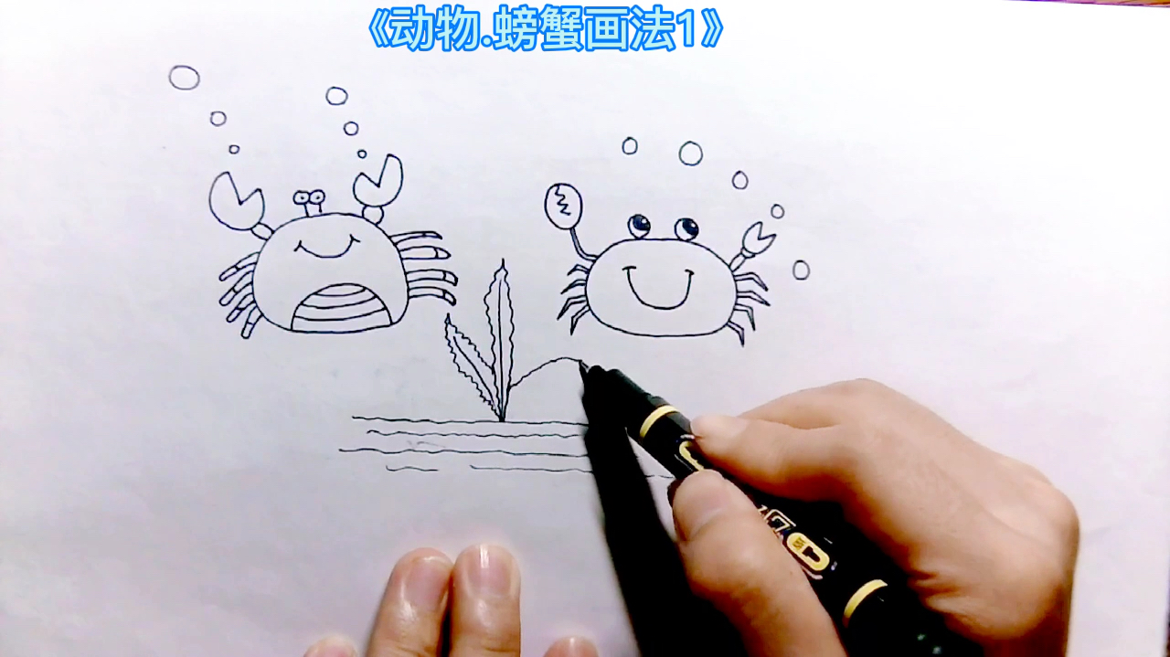 简笔画儿童画大全.手绘动物螃蟹画法1