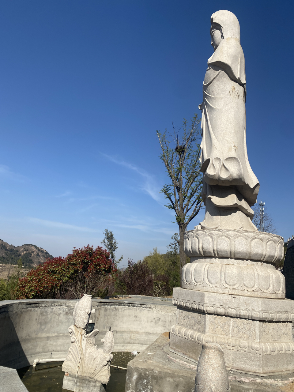 今天去了日照莒县的惠感寺,远远看到半山腰上有座寺庙,去到地方,山下