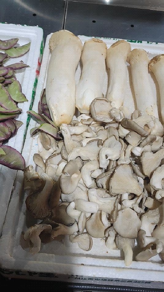 好大的杏鲍菇菇啊,大家爱吃吗?