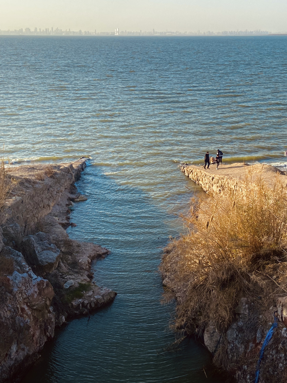 零碎的岛屿总会找到海98 都说海边浪漫98 借夏天的名义一起去看海