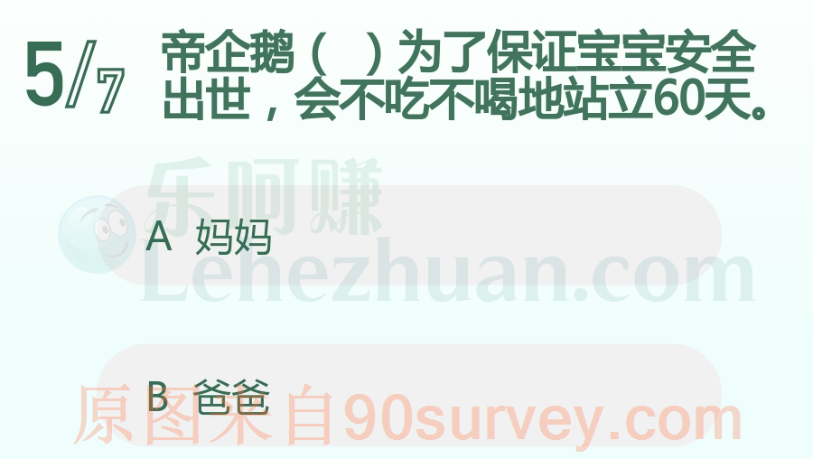 帝企鹅爸爸负责孵化企鹅蛋 帝企鹅爸爸负责孵化企鹅蛋