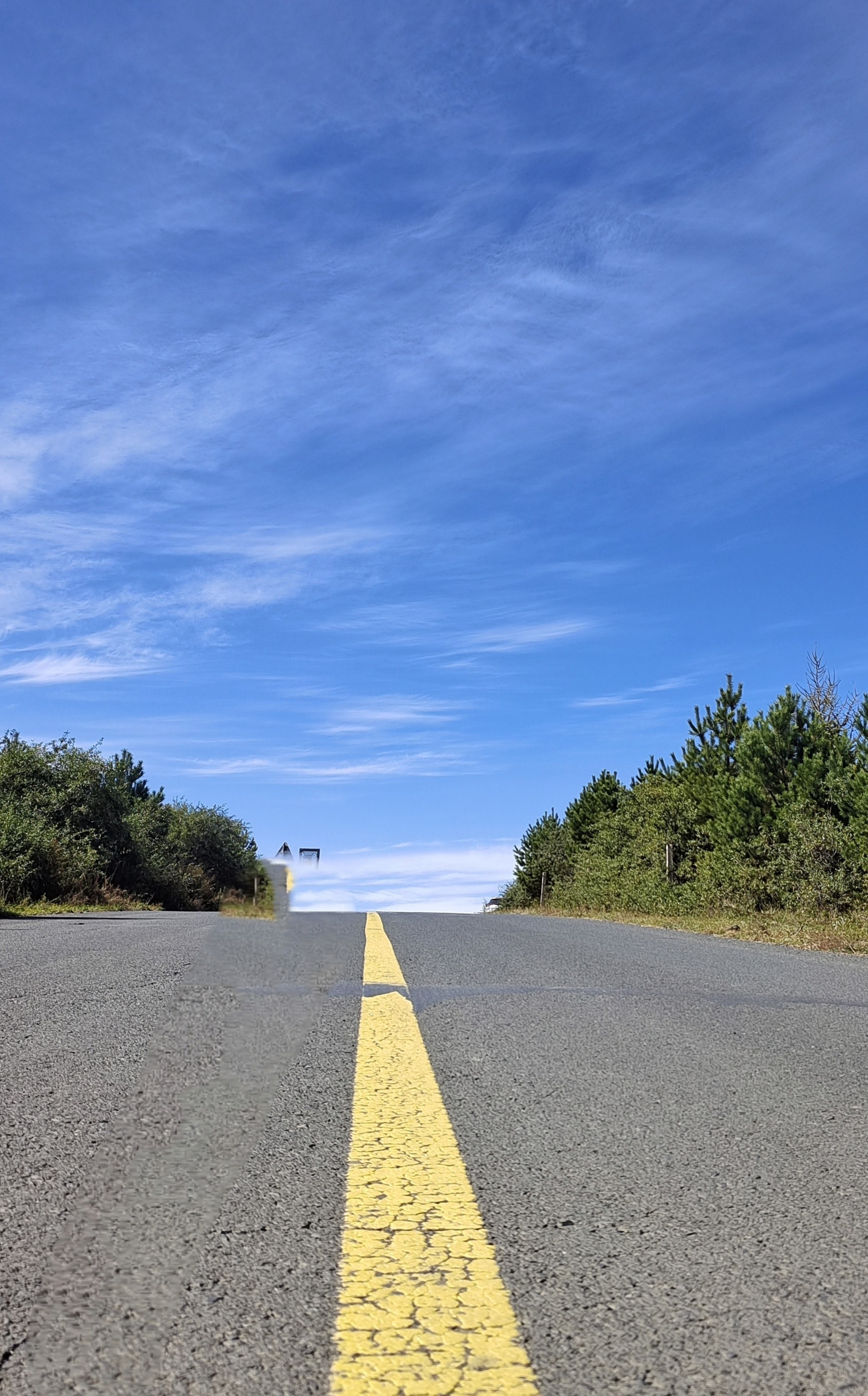 草原天路的金秋