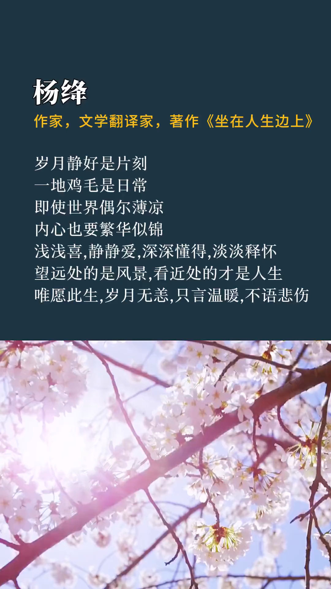 岁月静好是片刻一地鸡毛是日常