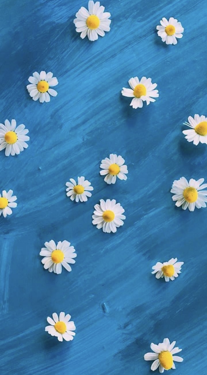 蓝色意境清新壁纸