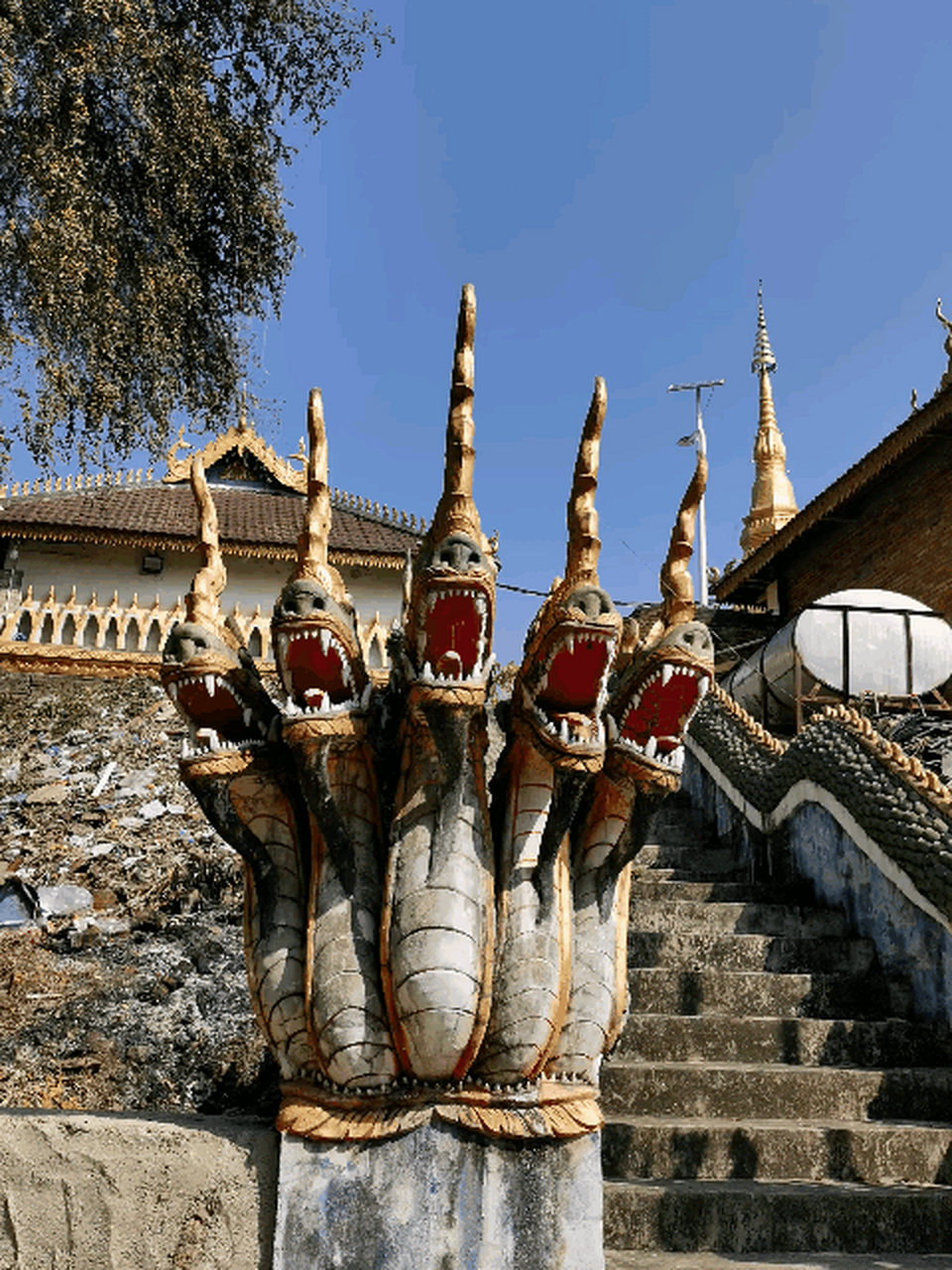 湄公河的守护神一娜迦 #gif创作人# #我是本地分享家#  娜迦是一种有