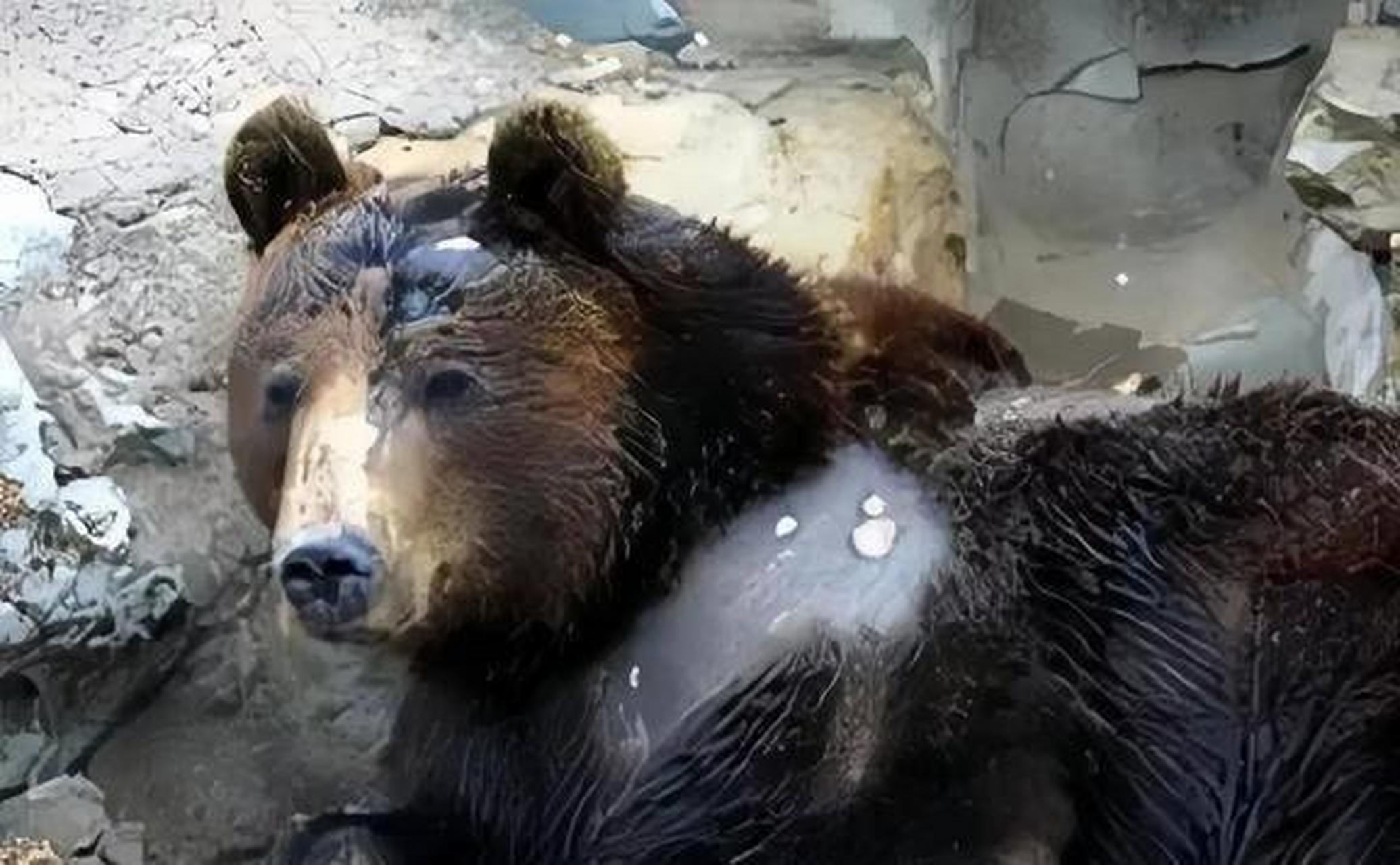 清华硫酸泼熊学生已成中科院副研究员 2002年2月23日,刘海洋在北京