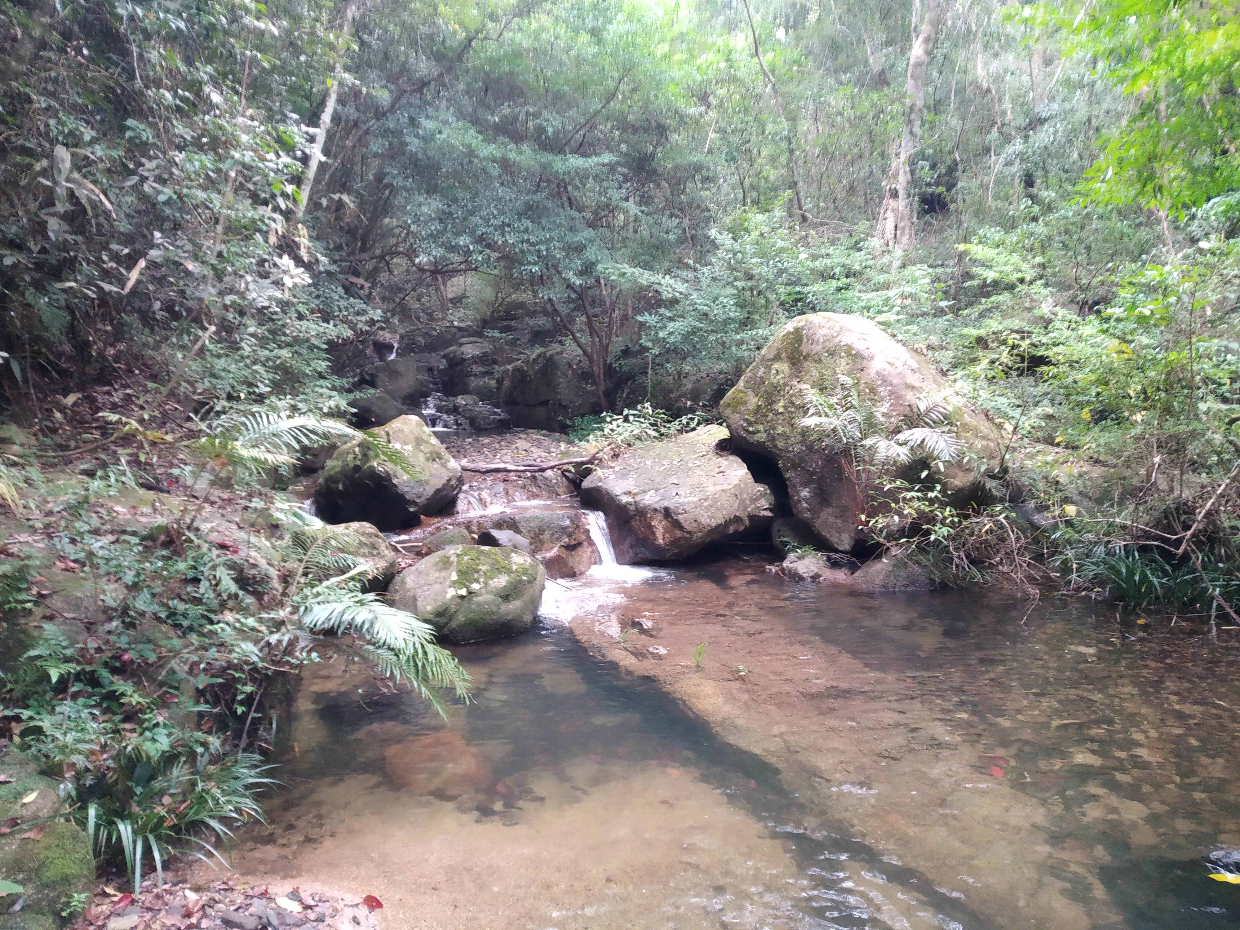 从化通天蜡烛山简介图片