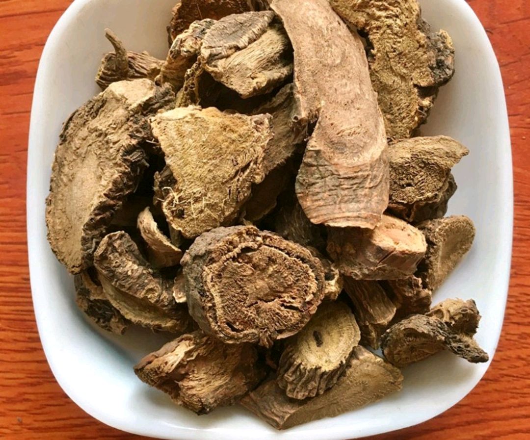 中药古今研究:羊蹄根