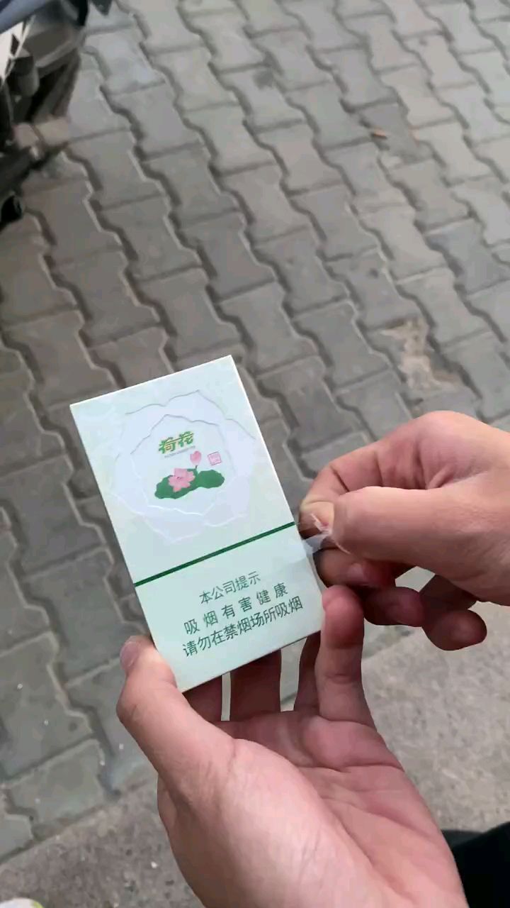 双中支荷花.颜值担当