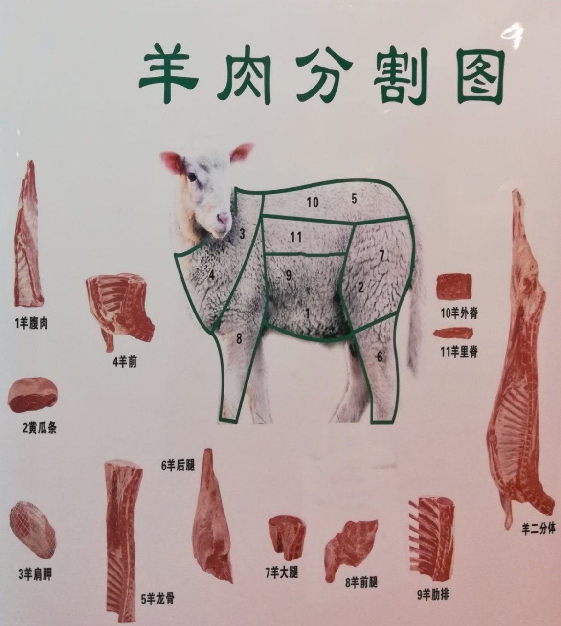 看到这张分割图,羊颤抖着身体,哆哆嗦嗦开始说话了"将我们这样条理