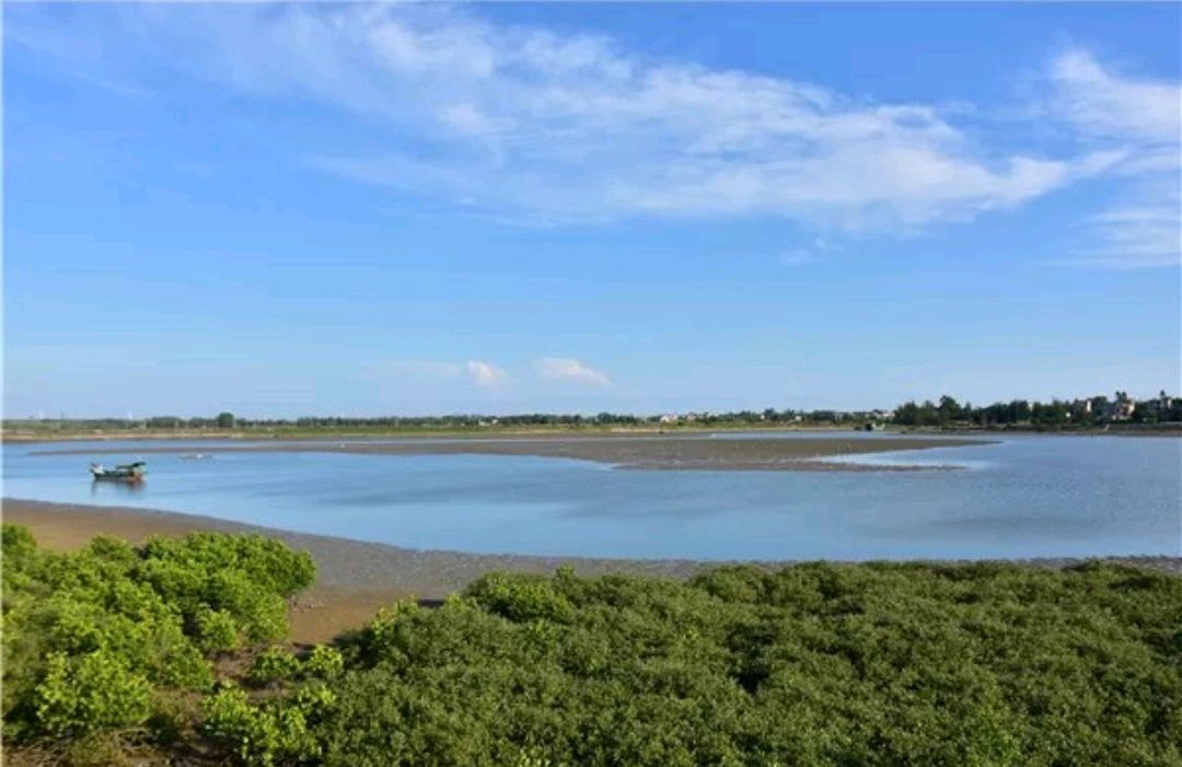 风景优美的"新寮岛"向您发出邀请,到了徐闻不到新寮非好汉