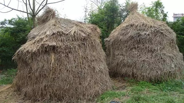 消失的农村草垛子,承载儿时的一份记忆