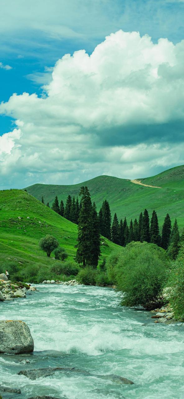 纯绿色唯美风景壁纸!#风景# #壁纸# #冬天的第一张照片