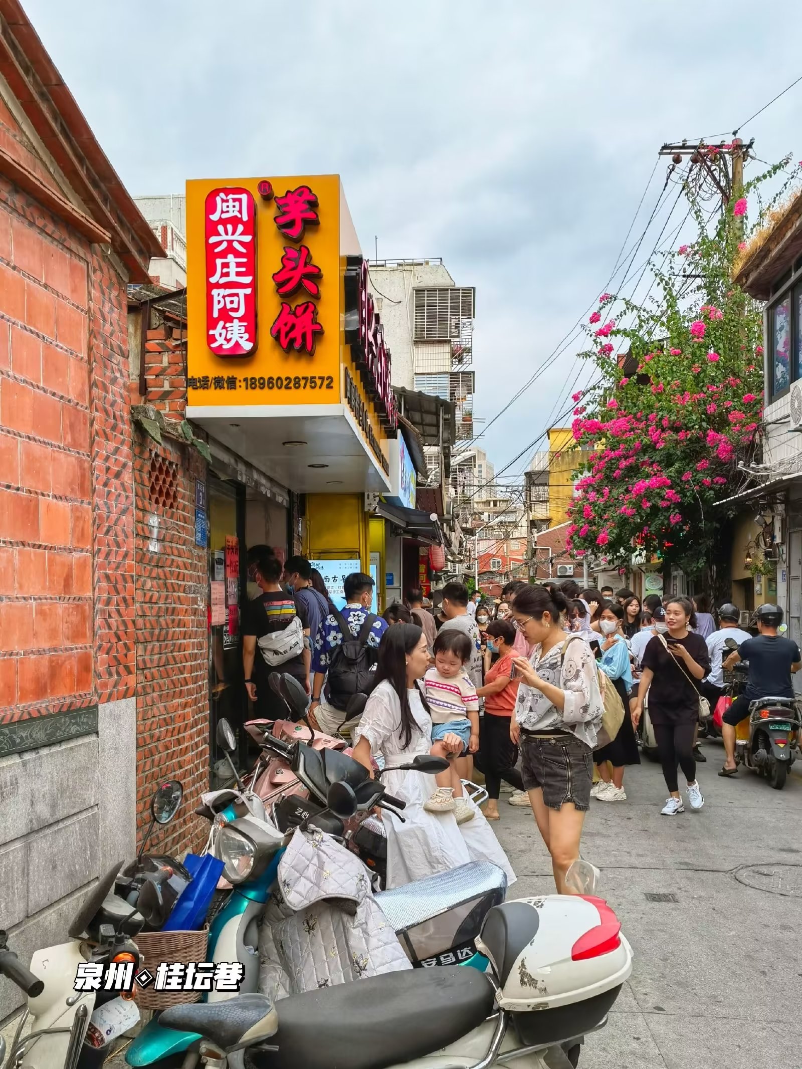 泉州探路‖文人折桂登坛的桂坛巷