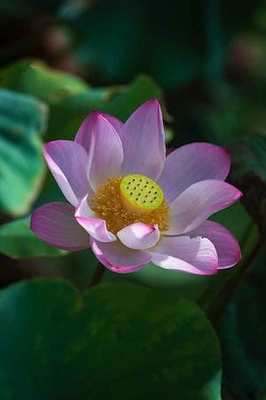 这一点都不神话,这一点也不神奇.