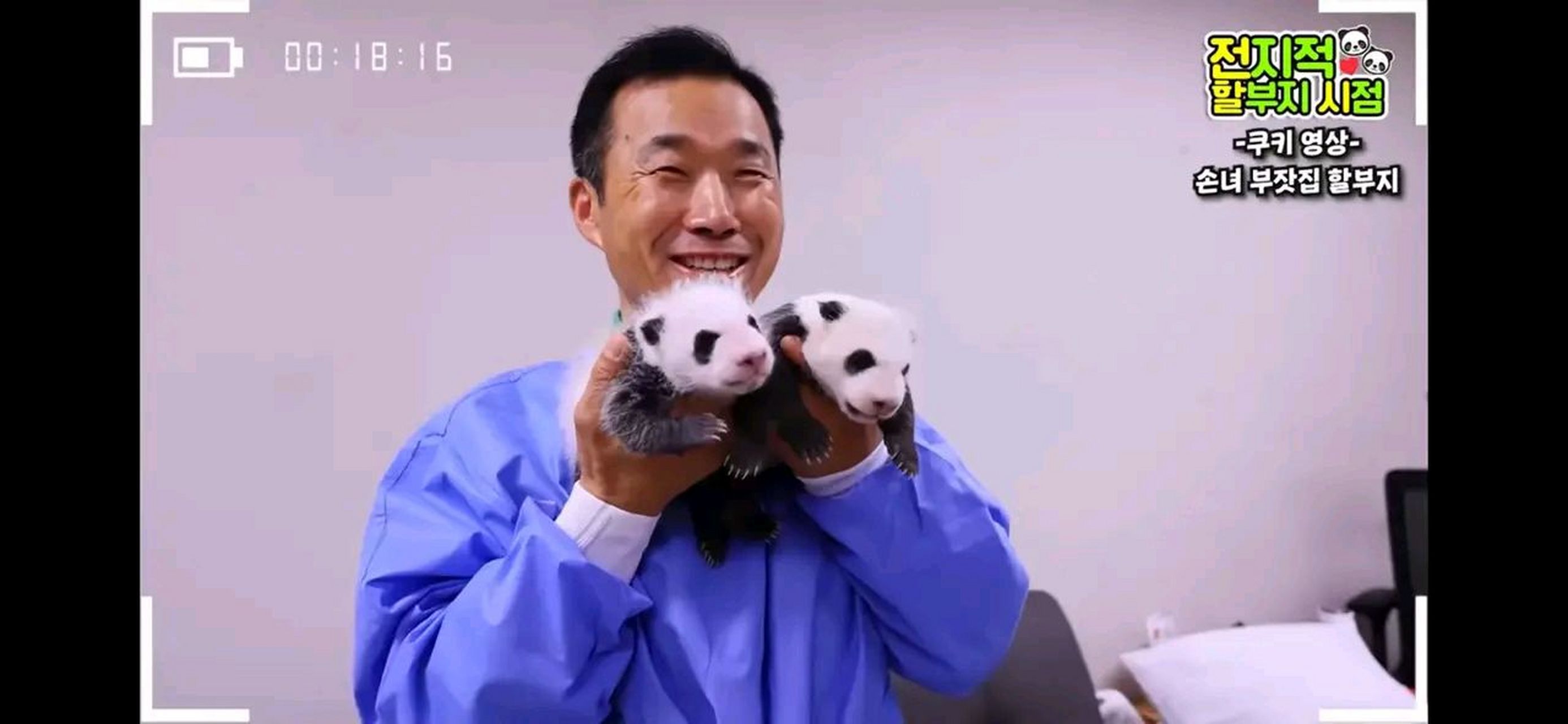 爱宝双胞胎一天一个样,姜爷爷一手托着一只熊猫宝宝眼睛都笑没了,真心