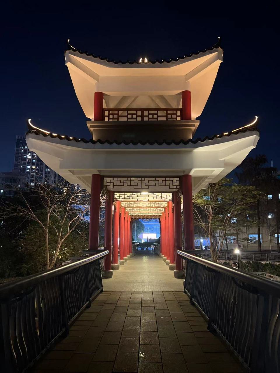生活要有仪式感(4) 夜空下横岗人民公园,别有一番体验