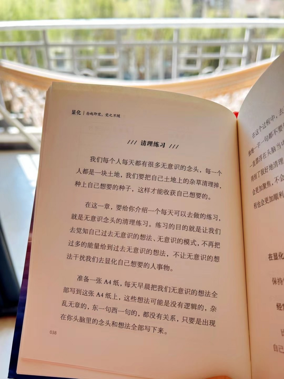 觉者无名李仲轩《显化》书籍 #觉者无名李仲轩书籍# #李仲轩显化