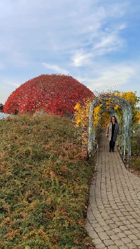 华沙大学图书馆网红花园