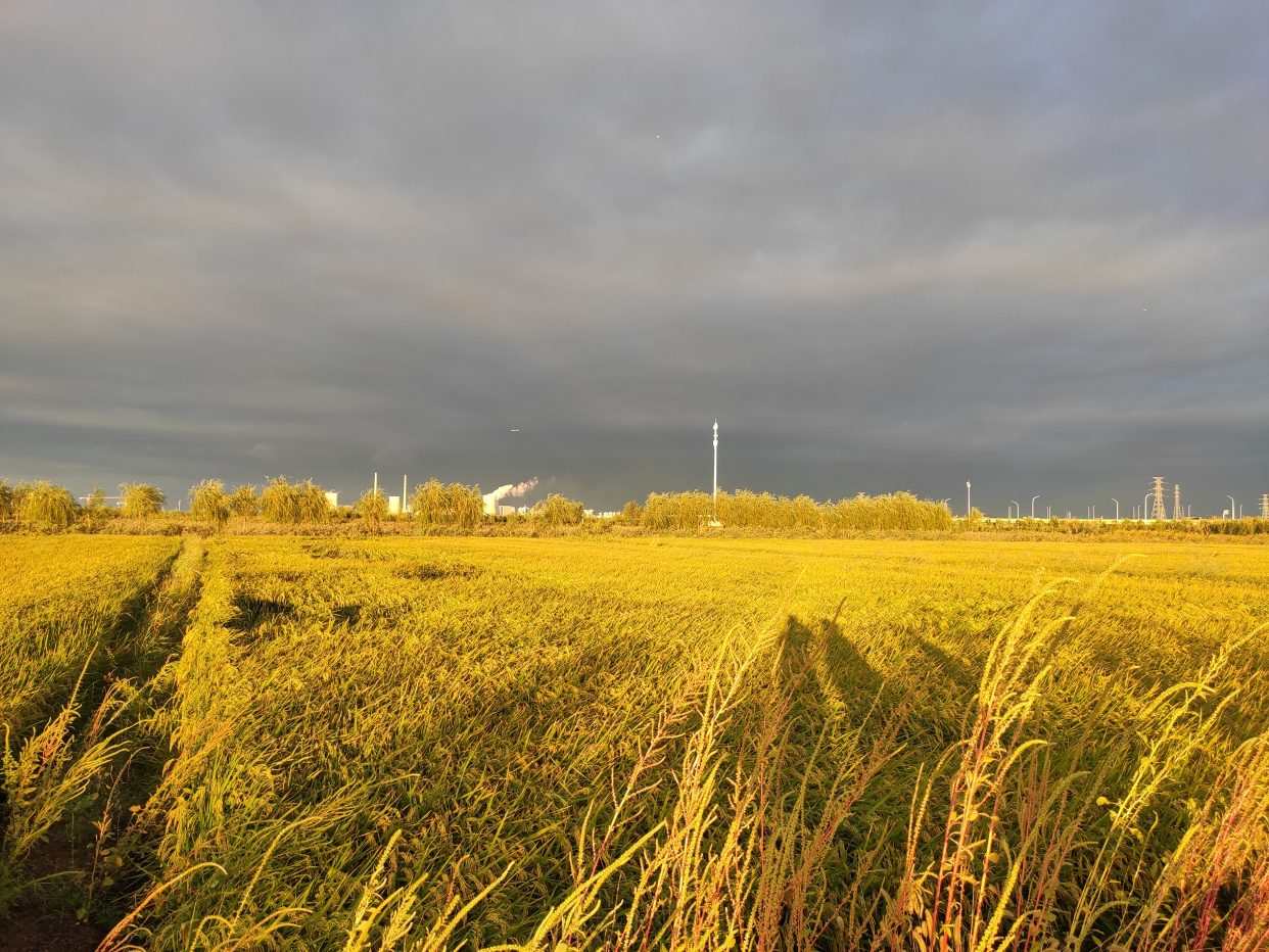 雨后的绿屏·辛庄湾