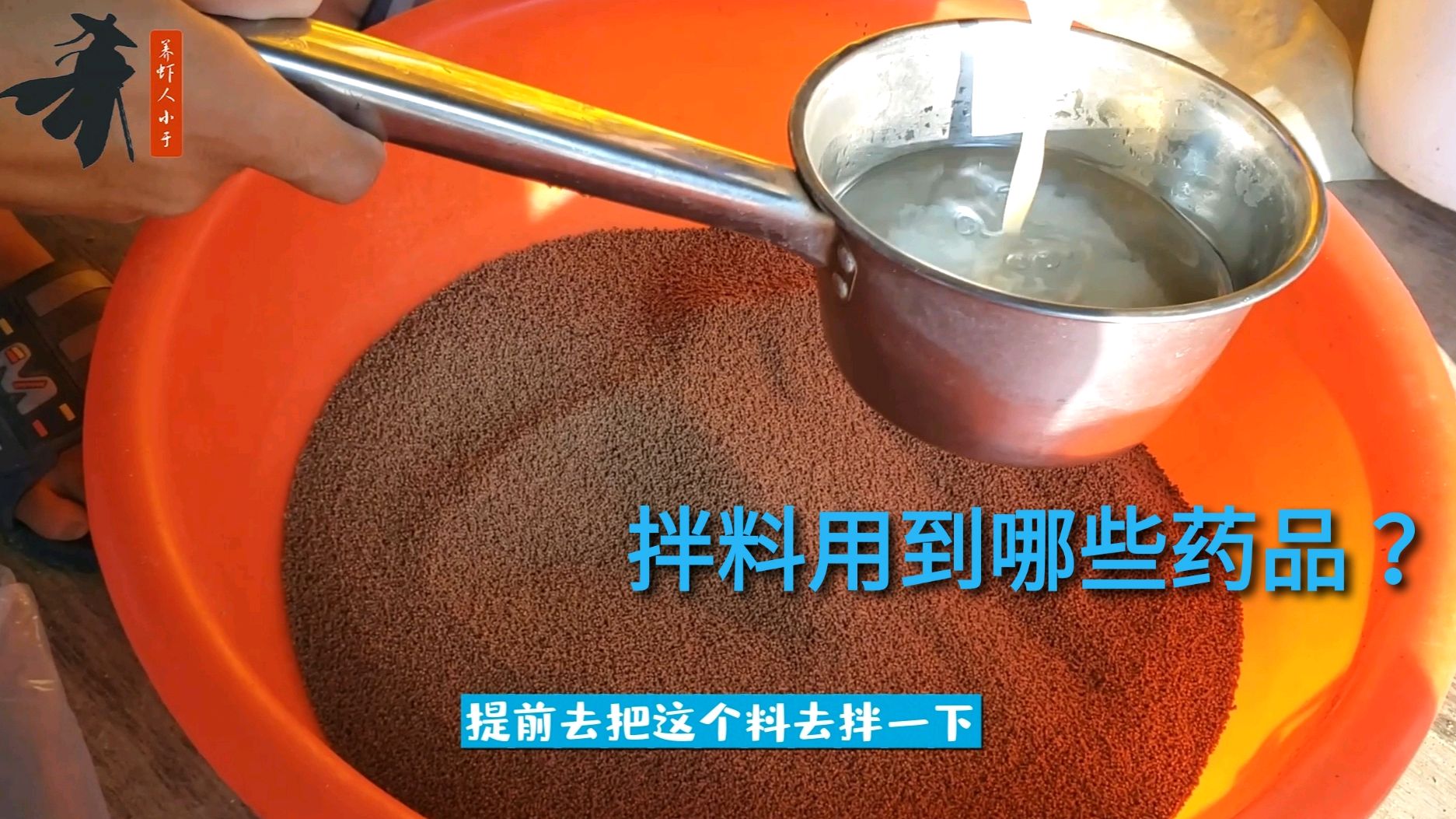 南美白对虾养殖,日常拌料需要注意什么问题?