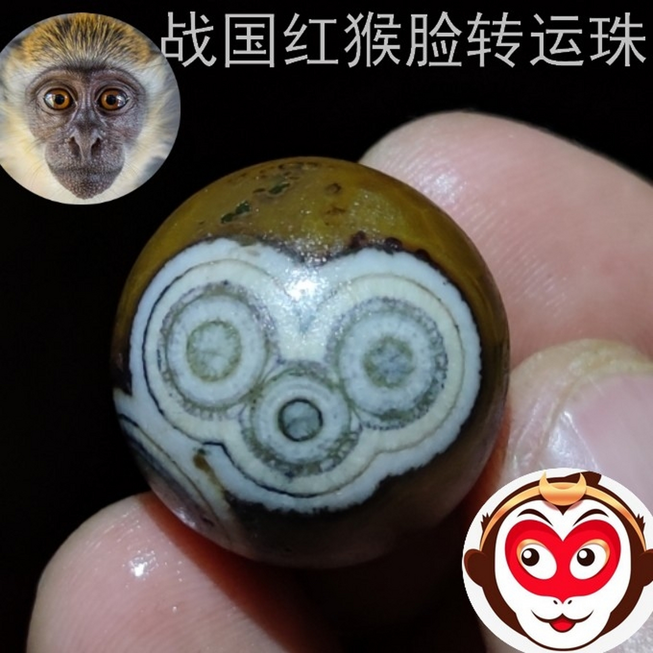 标准的猴脸战国红玛瑙圆珠转运珠 #文玩手串