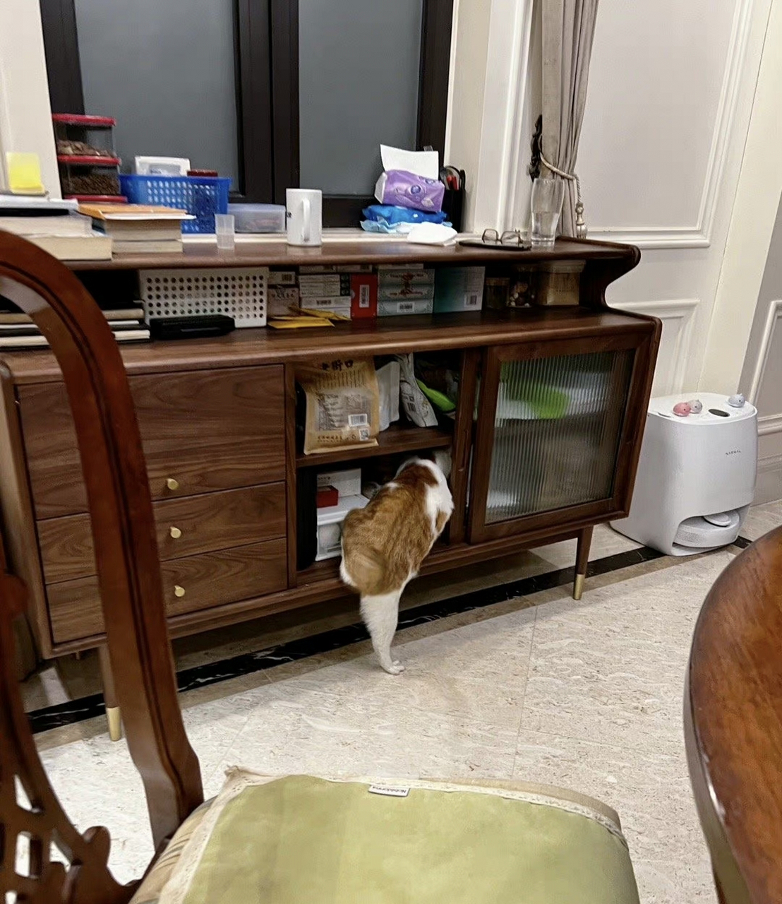 说这张照片是《背影》的给我站出来,这买橘子的背影逐渐清晰起来啦