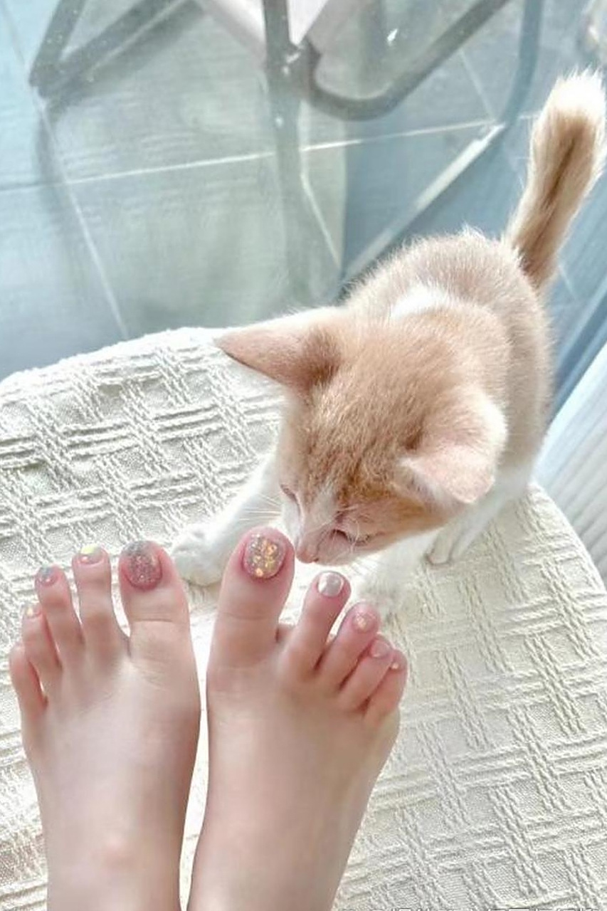 捕捉一只小可爱,脚的魅力挡不住,猫咪也没忍住[awsl]#最美脚丫# #足控