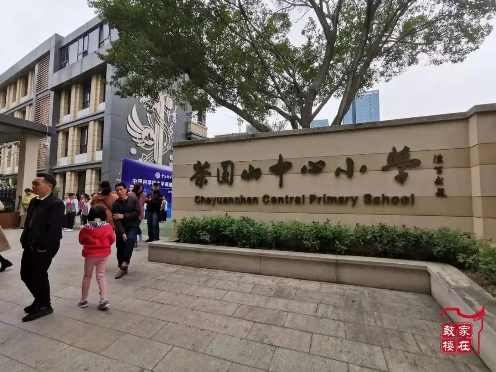 杨桥中学对口小学图片