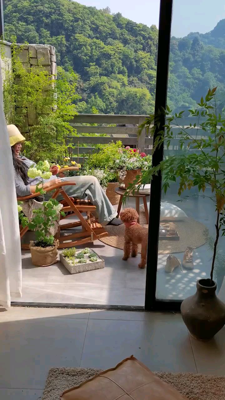 大清早在露台躺着,无忧无虑的生活让多少人羡慕