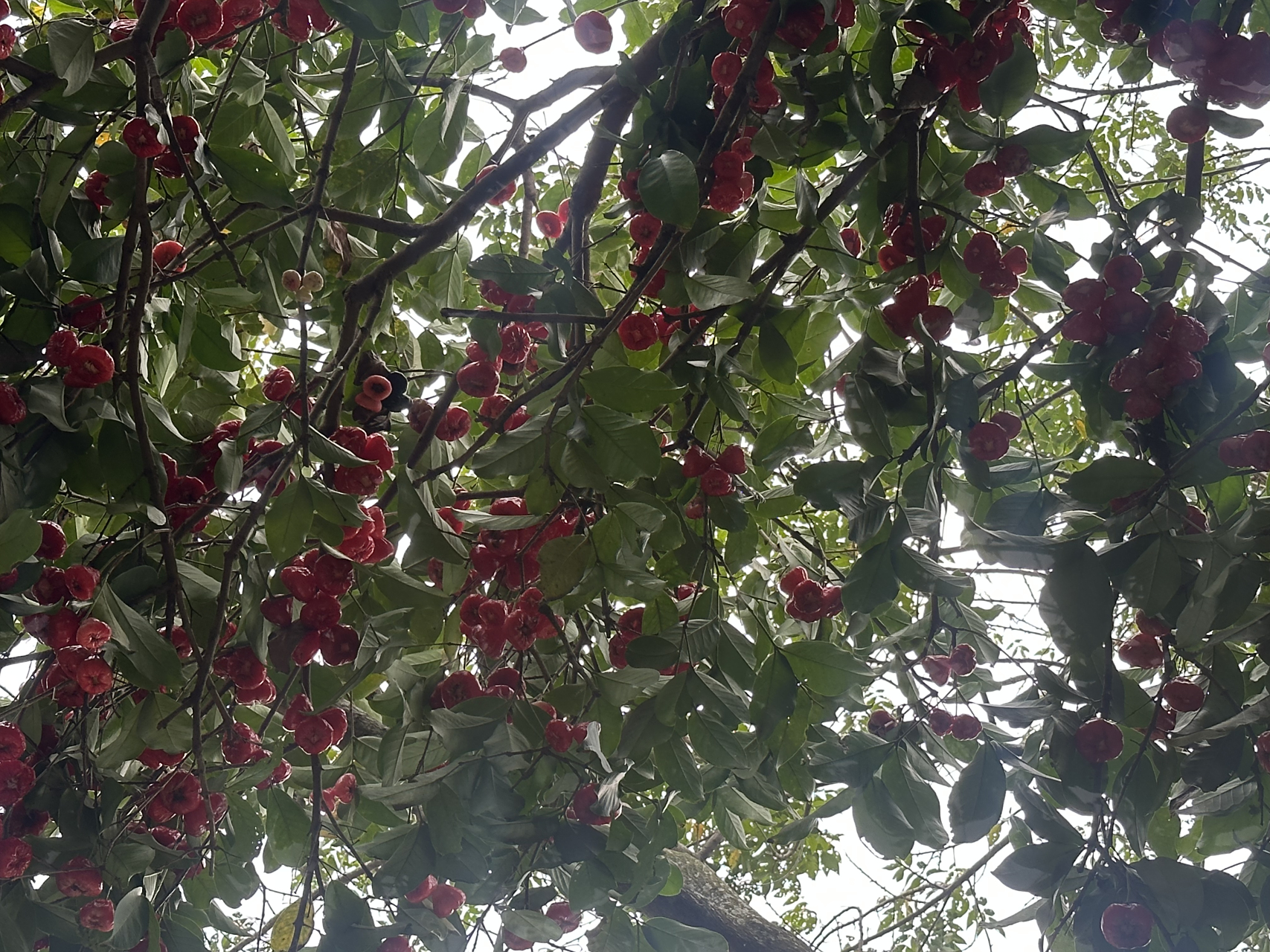 生活资料#福彩3d