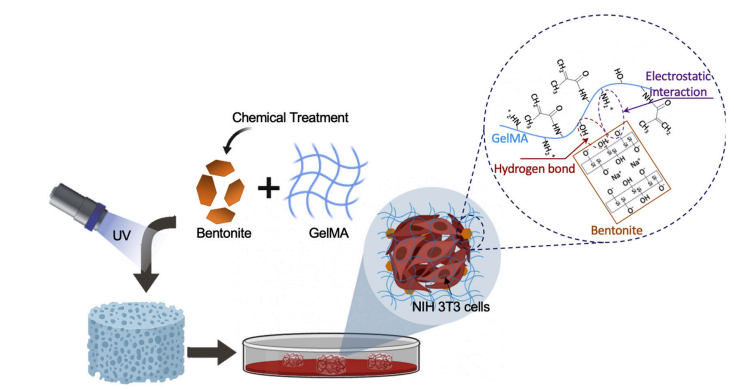 钙钠膨润土-gelma 水凝胶