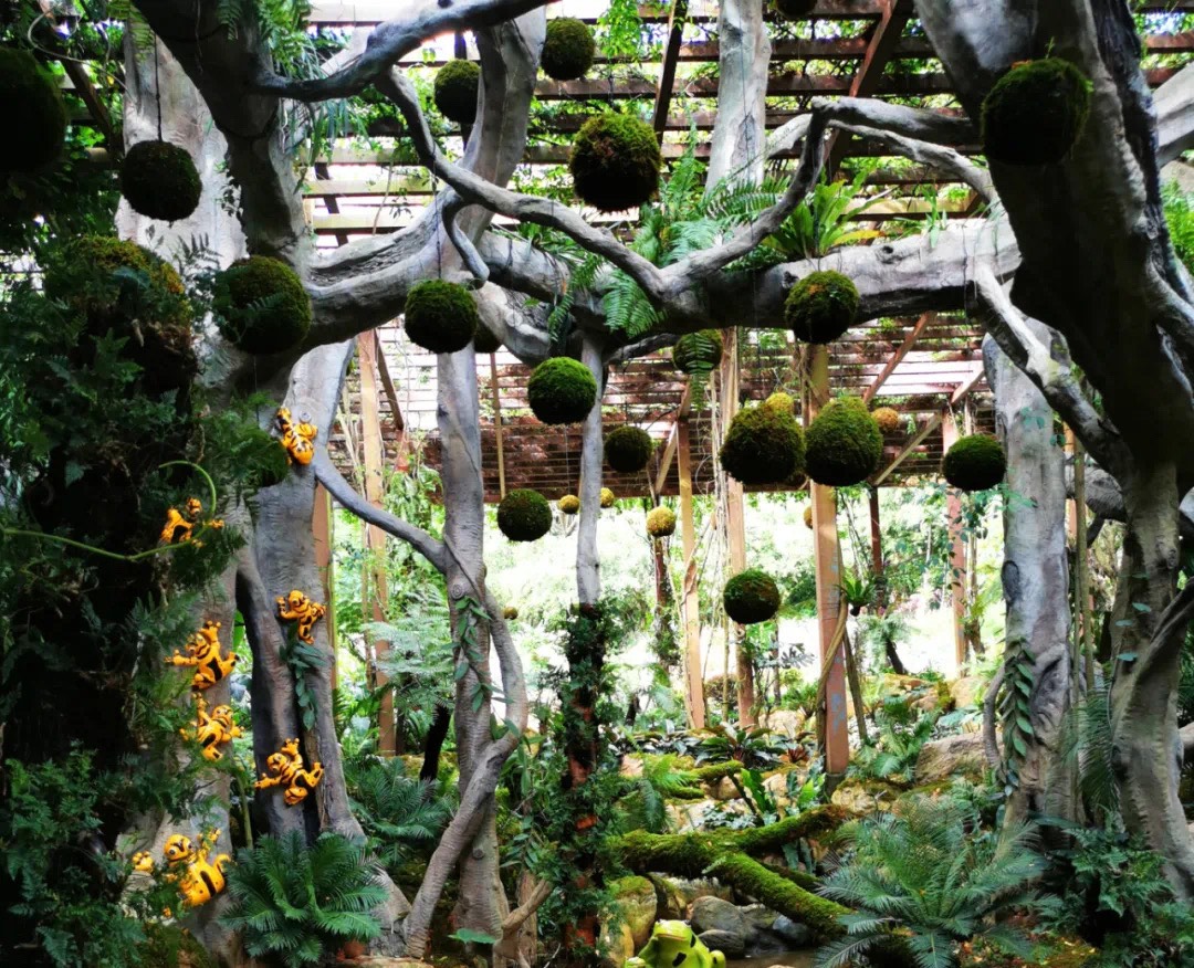 南宁新晋荫生植物园,在5a景区青秀山里,美得就像仙境!