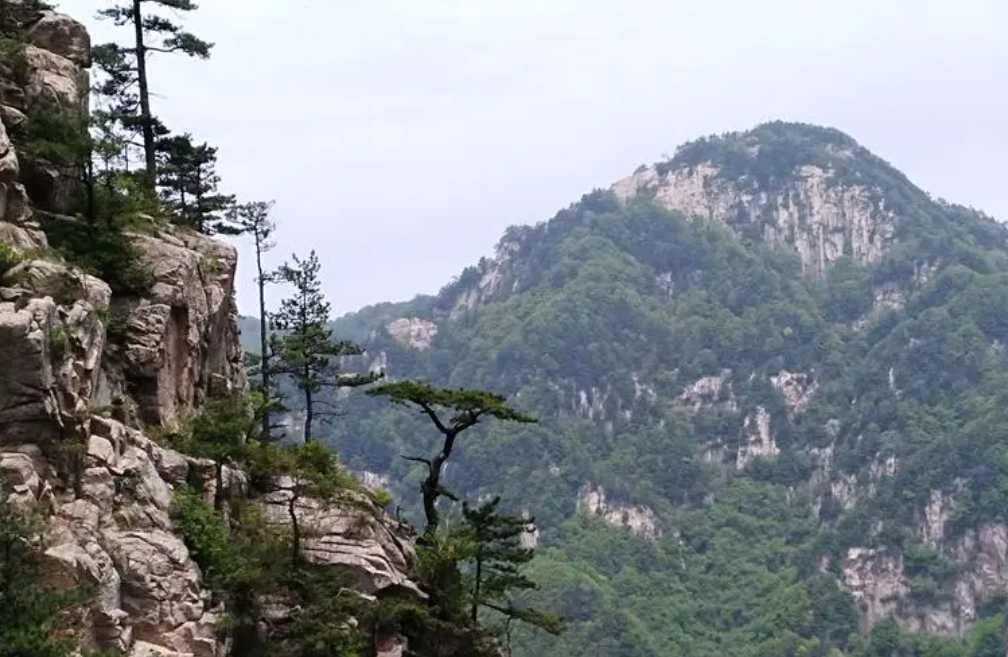 伏牛山:壮美山川,自然生态的天堂