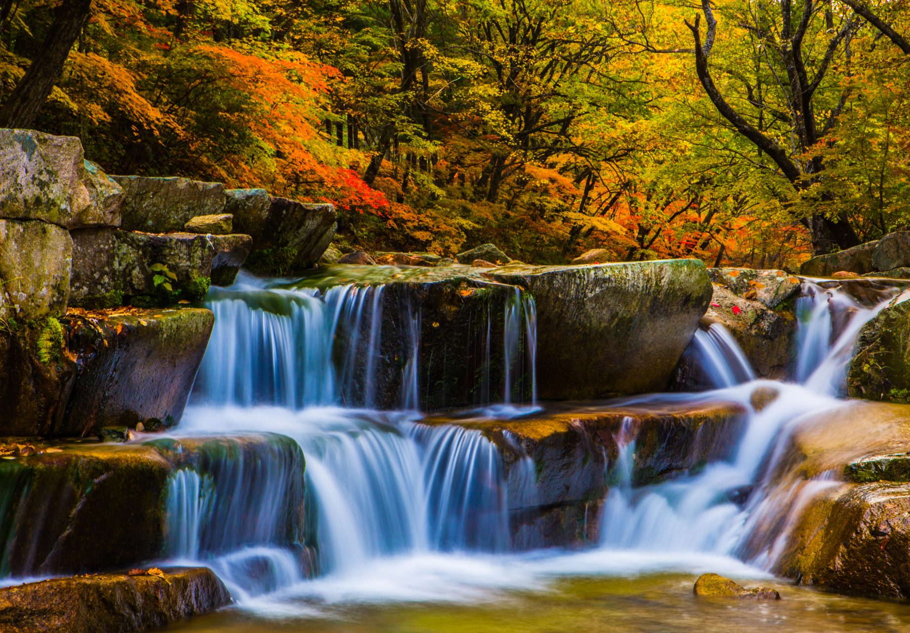 太好玩了我的城# 第十七届本溪(国际)枫叶节 "山水都市圈 金秋情意浓