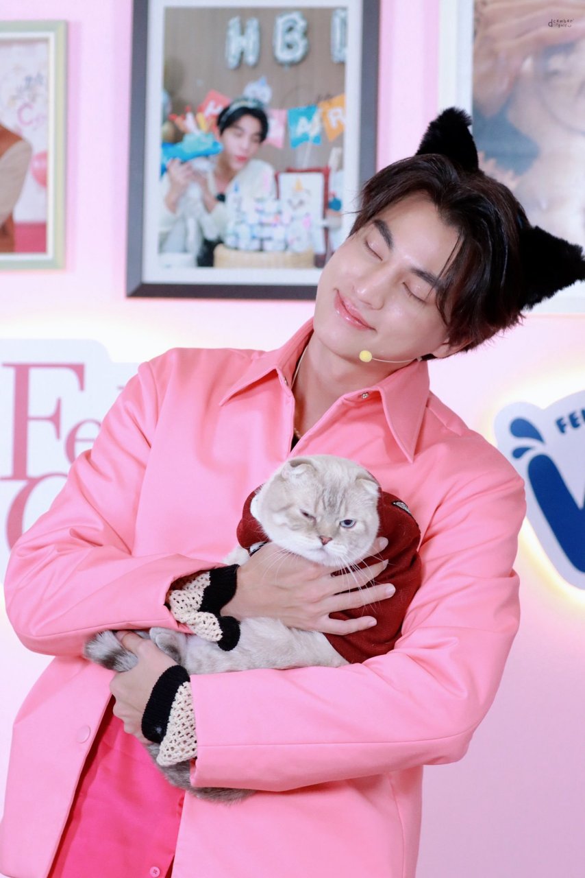 缪糕,mewgulf,哥弟#他泰cp# #泰兰德