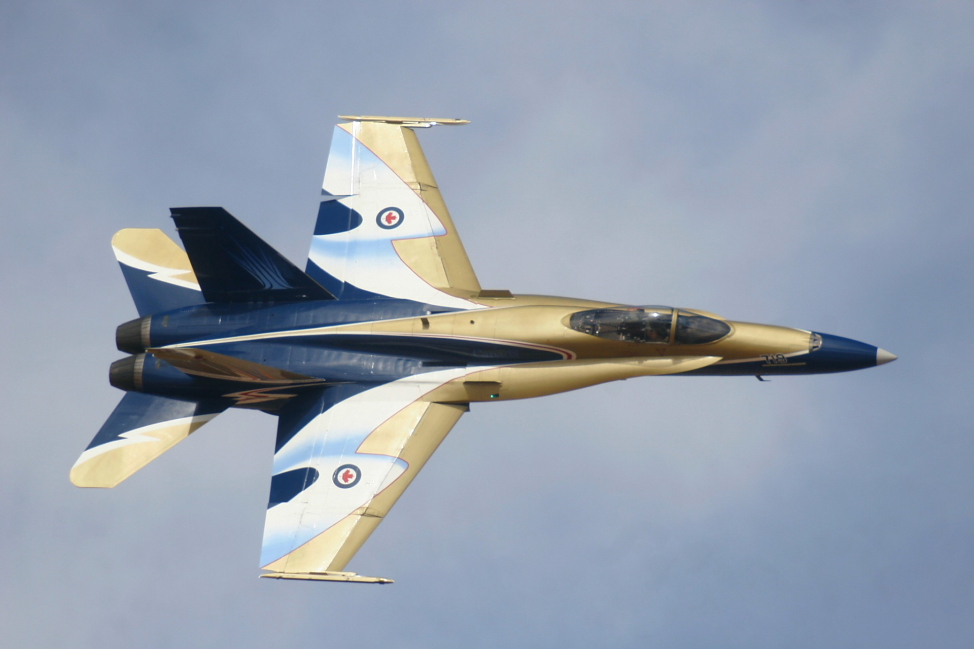 加拿大空军的cf18战斗机特别涂装版 你们觉得好看吗?