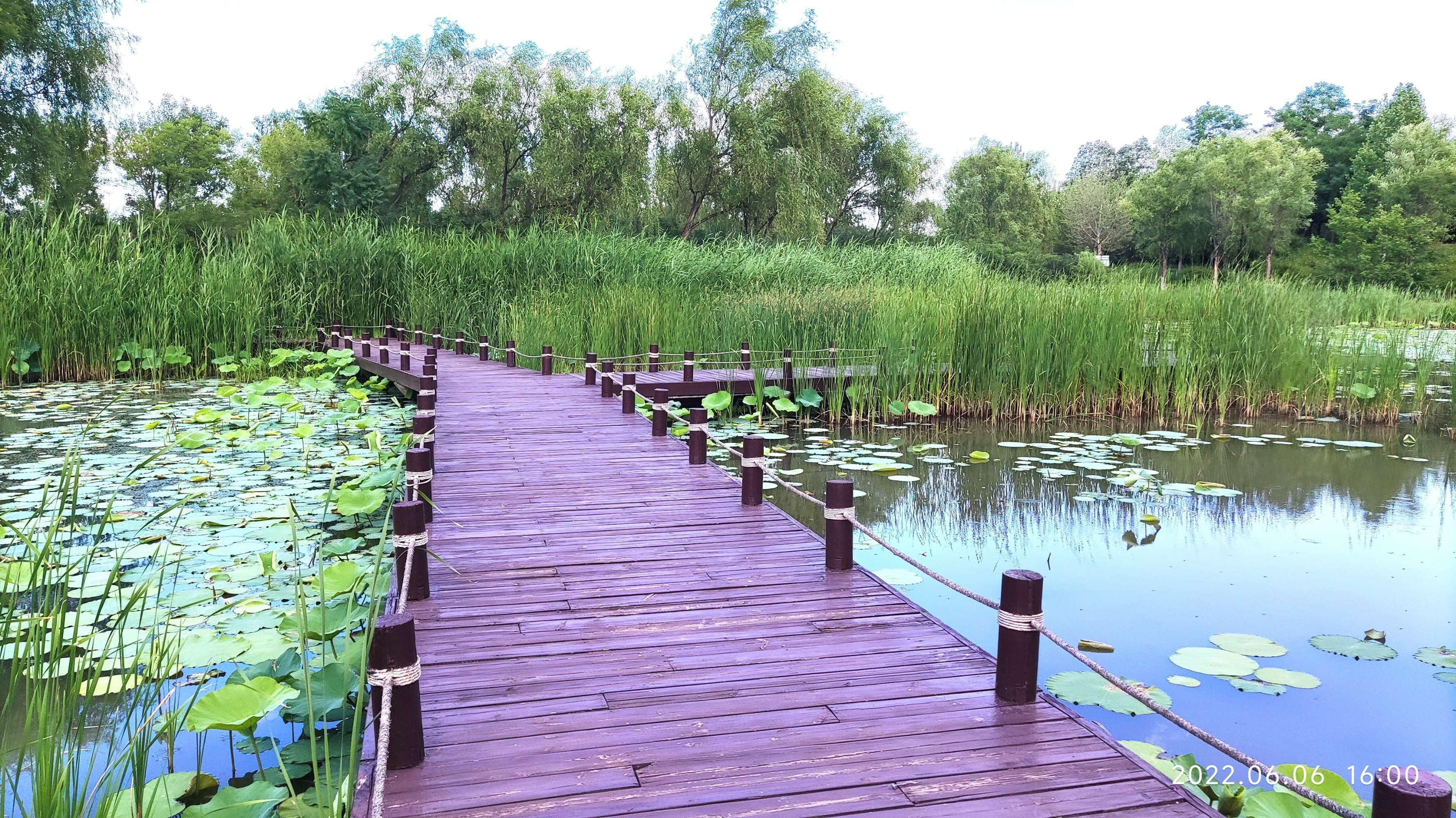游览翠湖国家城市湿地公园