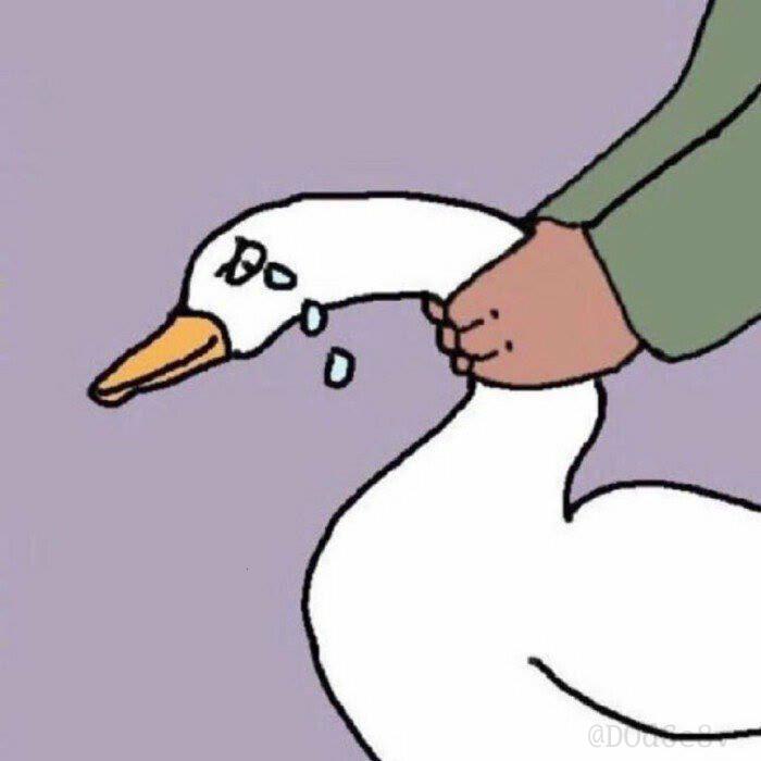 抖音国际背景图无水印