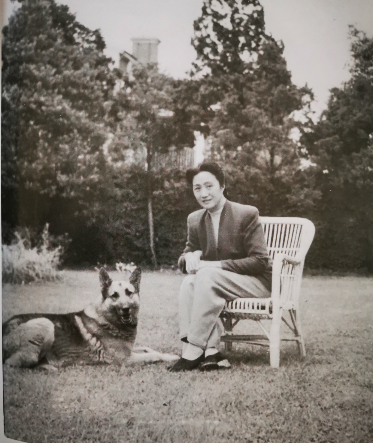 从清倌人到上海锦江饭店创始人,董竹君如何忍受涅槃疼痛获得新生