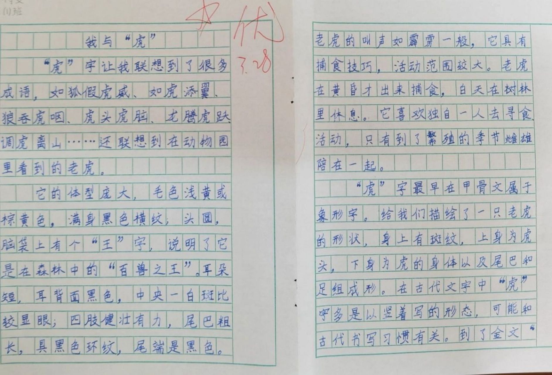 我和汉字的故事450字图片