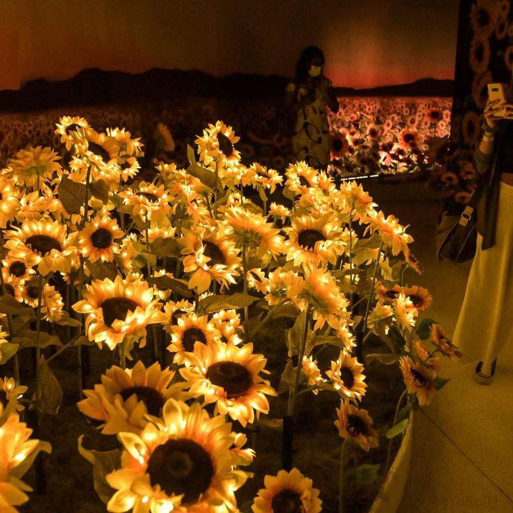 快手水印怎么去掉教程照片