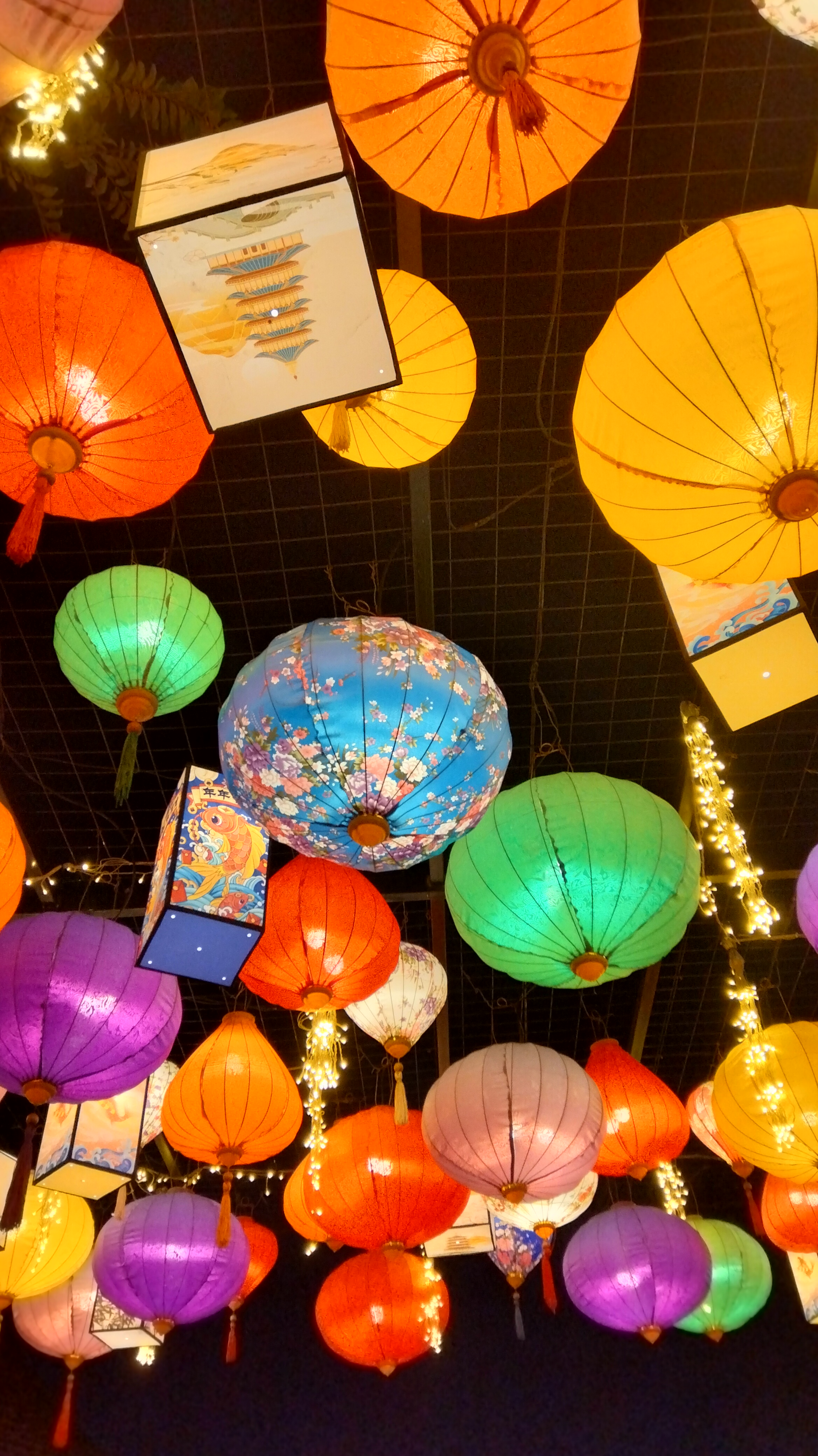 各式各样的手工灯笼高高挂,太漂亮了