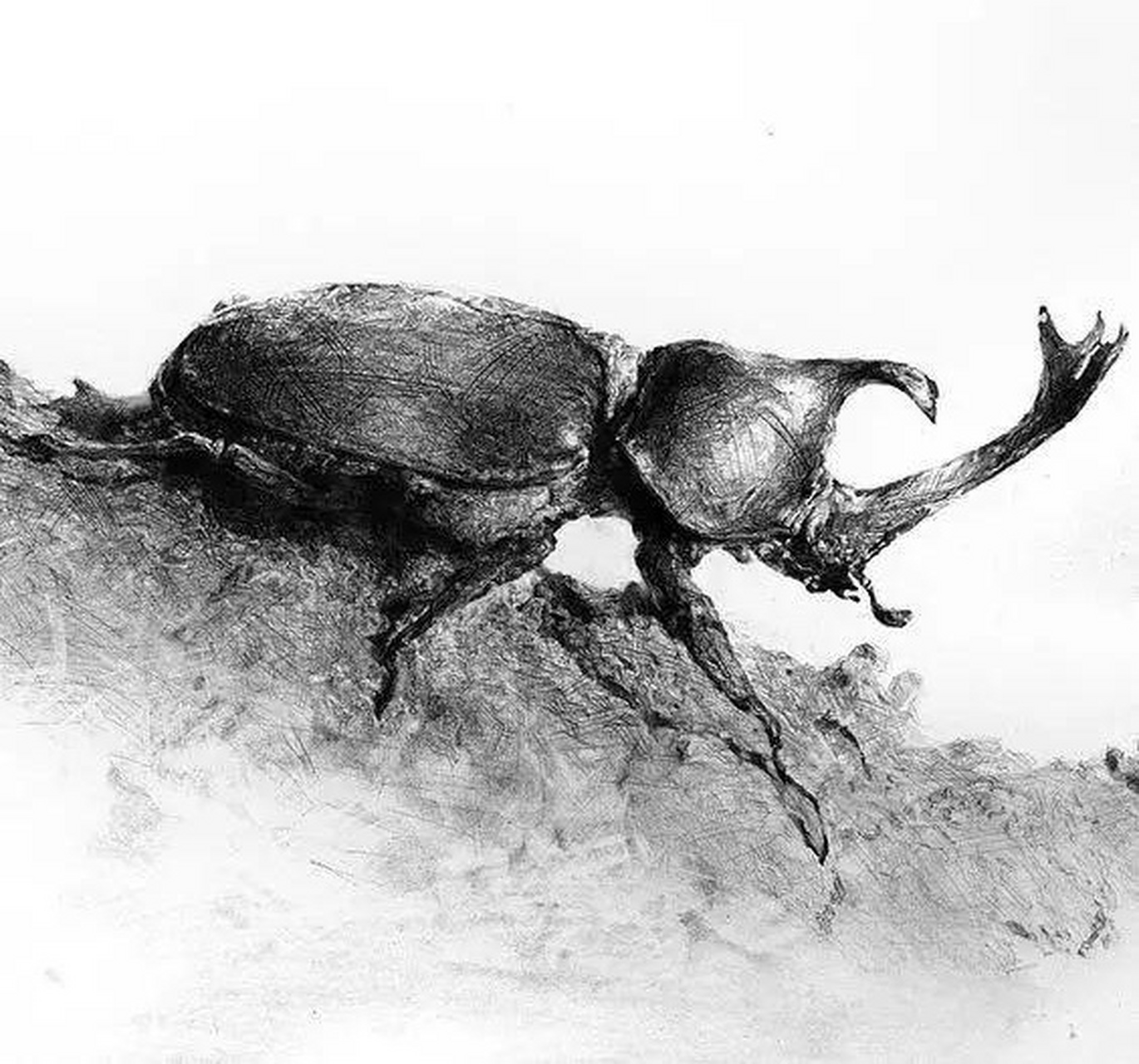 精微素描铅笔画,超级写实,写实画作「大师画作」图片欣赏(三)