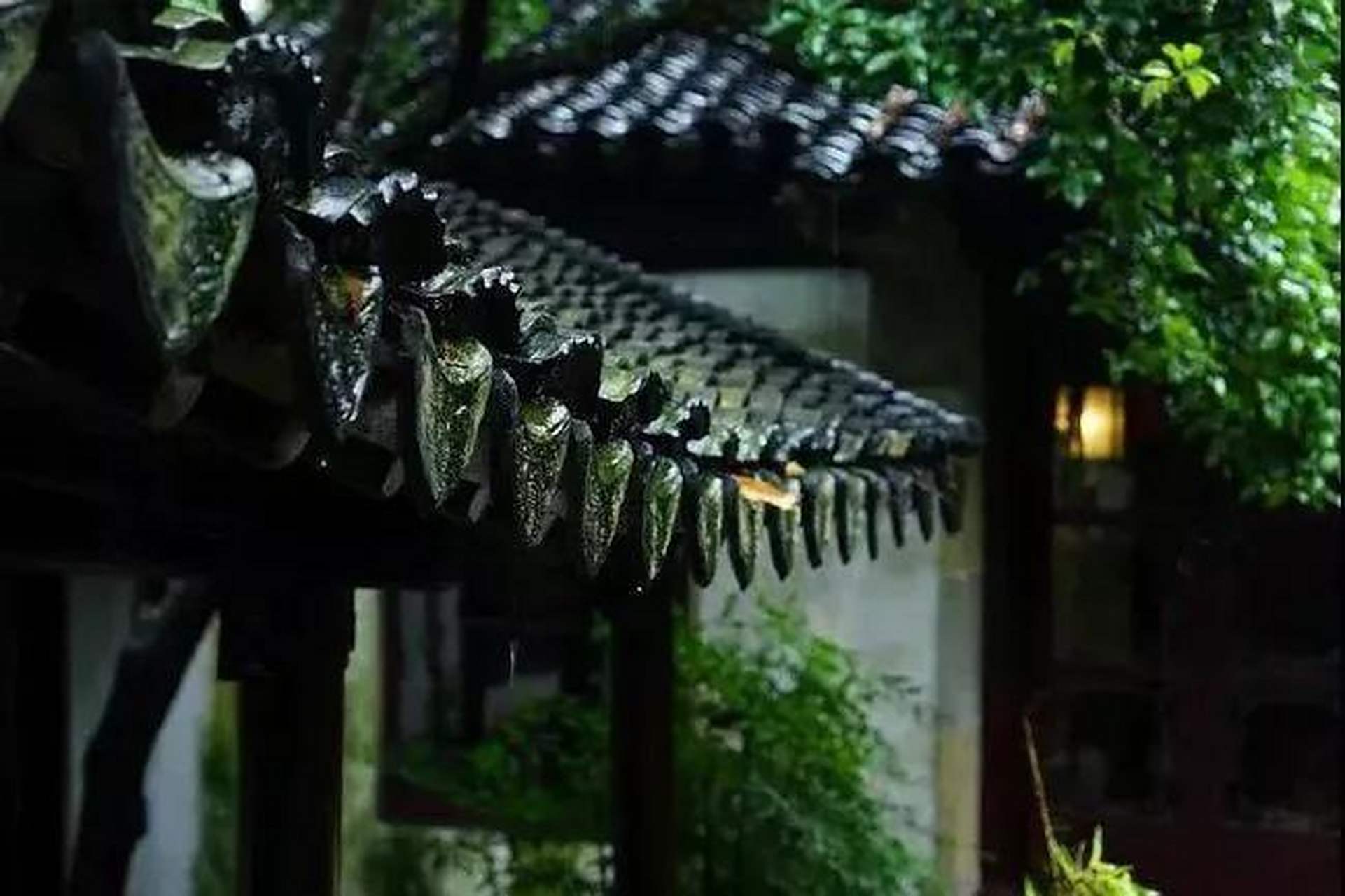 虞美人·听雨  宋 · 蒋捷  少年听雨歌楼上,红烛昏罗帐.