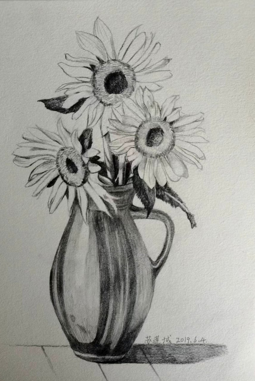 素描向日葵#素描