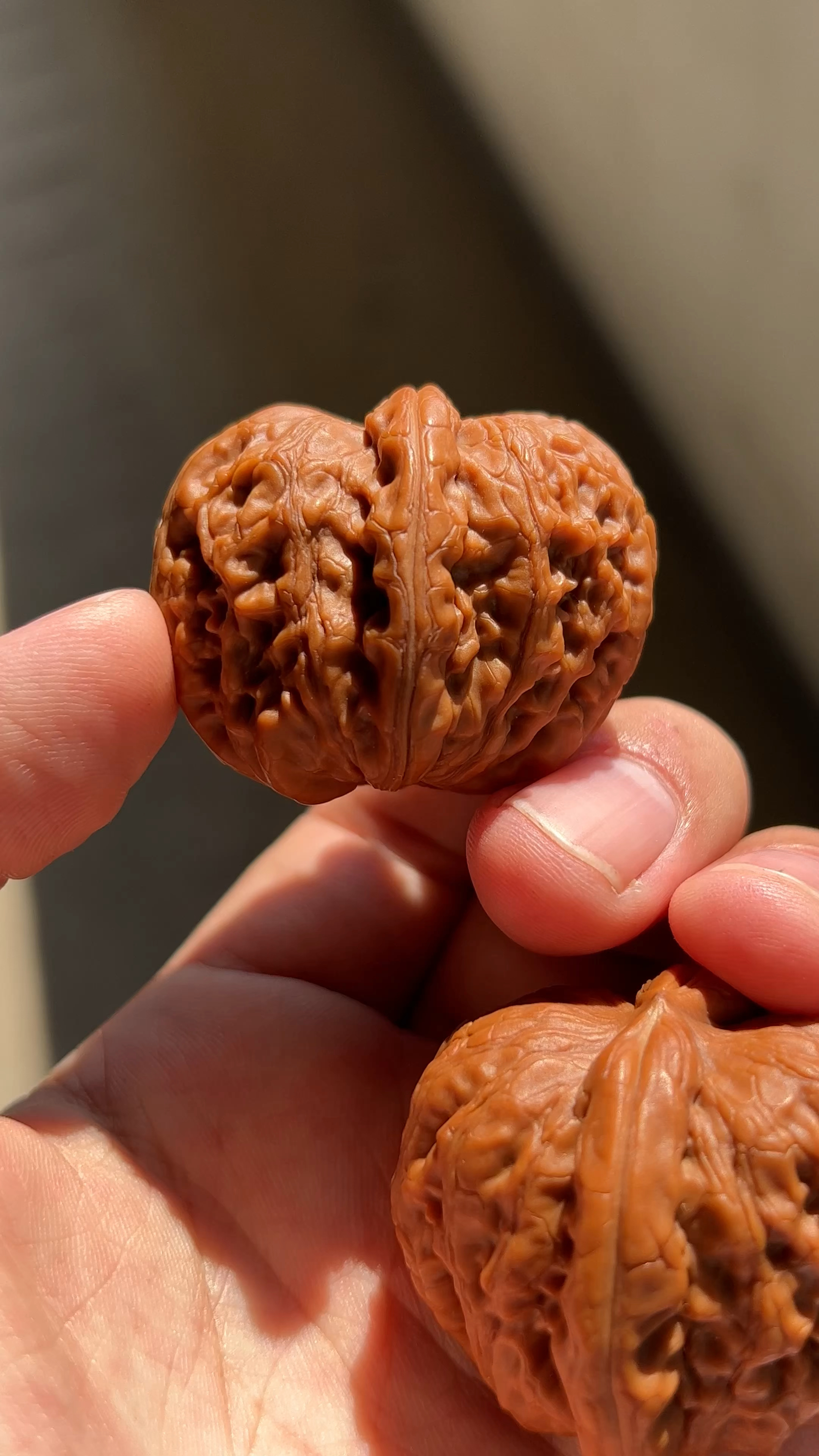 全品无修平谷元宝,标准型!-度小视